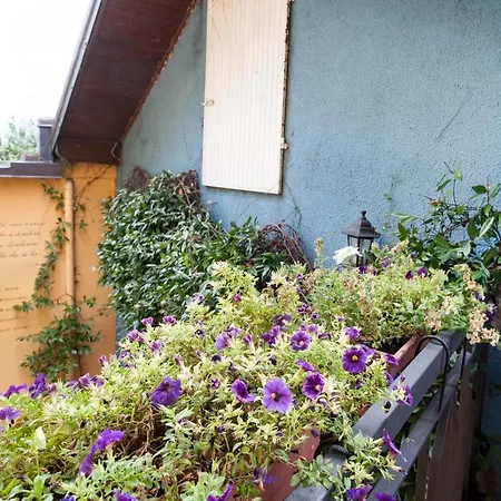 Tra E Stelle Panzió Cissano