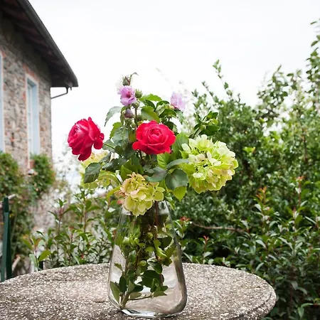 Tra E Stelle Bed & Breakfast *