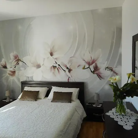 Tra E Stelle Bed & Breakfast Cissano