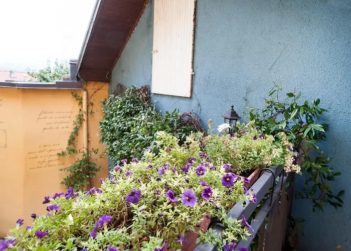 Tra E Stelle Bed & Breakfast Cissano